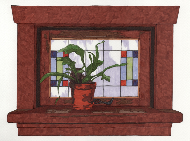 The plant in the window sm