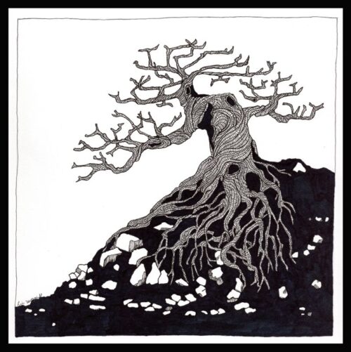 branches and roots 001 sm