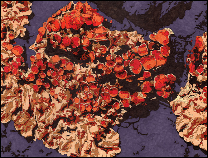 home-page-image-15102025 home-page-image-15102025